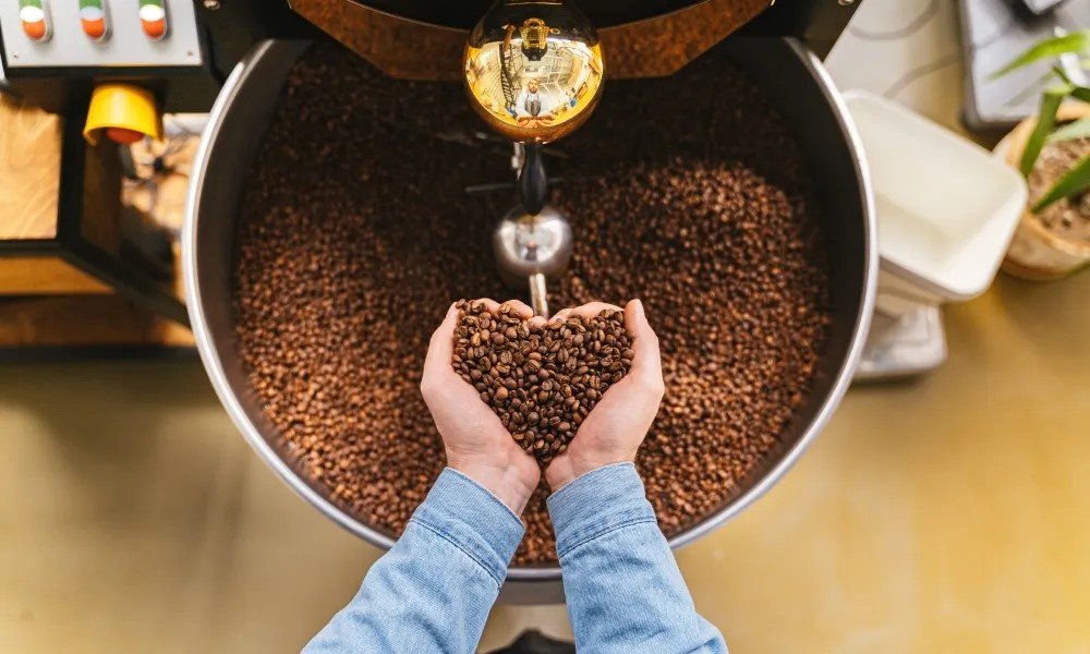 two hands holding roasted coffee beans over a roaster in the shape of a heart