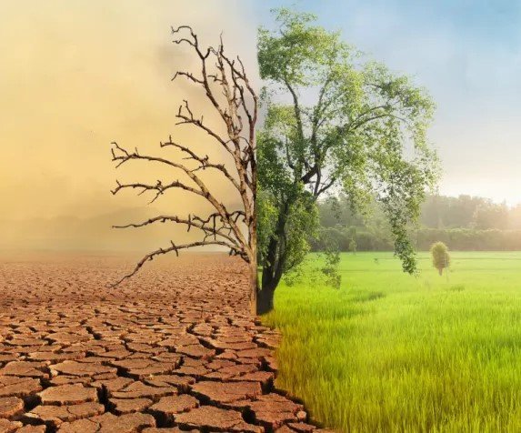 An image depicting climate change with a tree in the centre on the left the earth is dry and cracked and the air is dusty, the tree has died, on the right hand side the tree and land is lush and green, the sky is blue