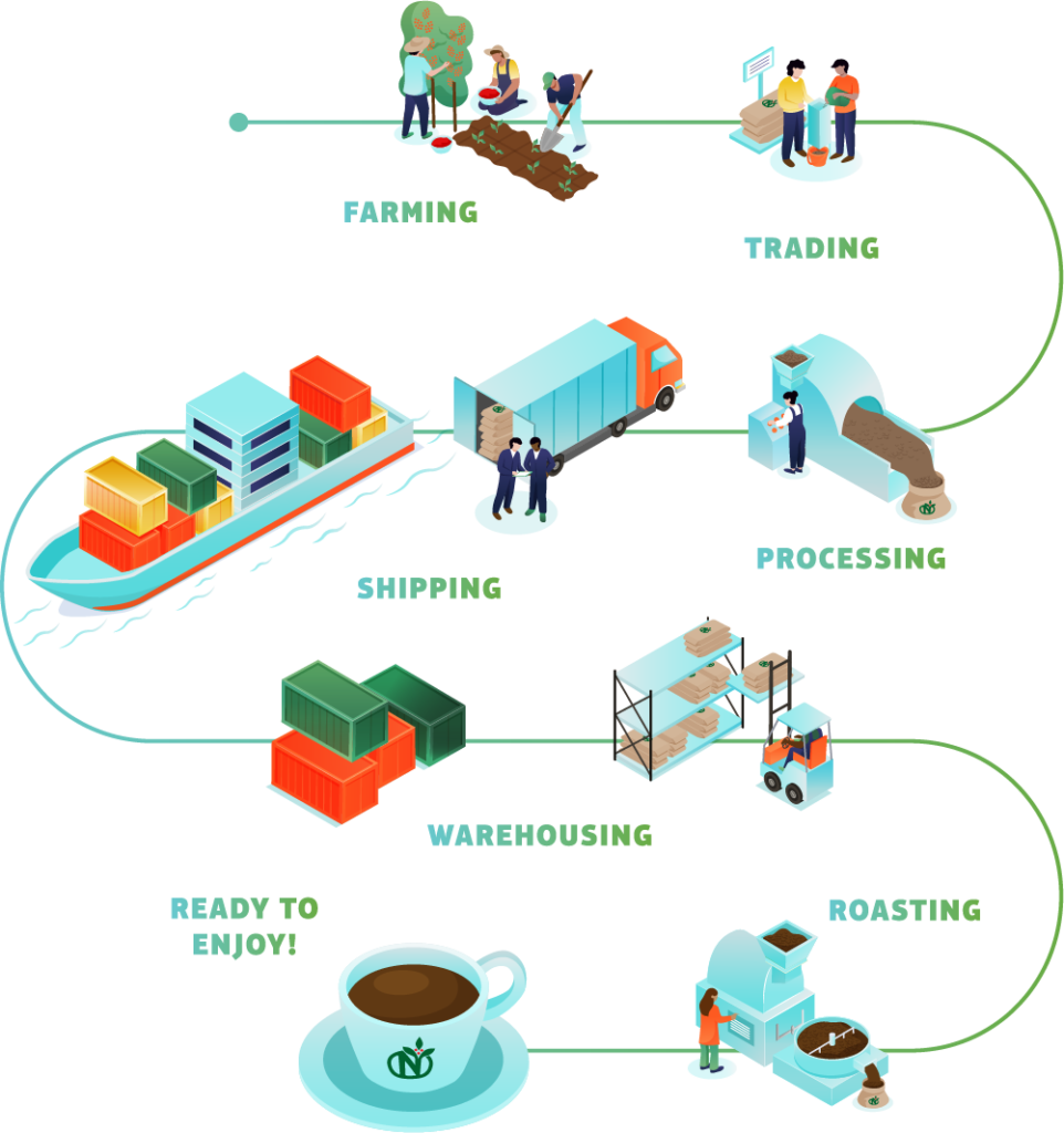 A flow chart showing the supply chain of coffee from farm to cup